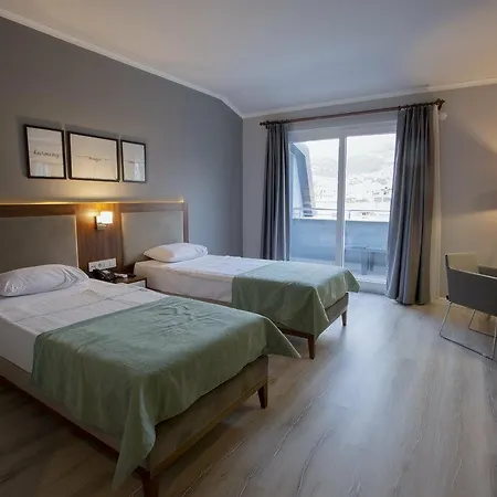 & Appart hôtel 3*